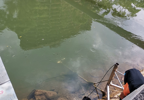 多普勒流量計 多普勒流量計